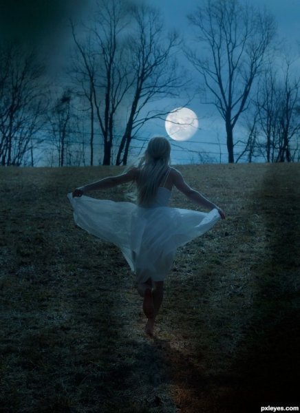 Человек в лунном свете