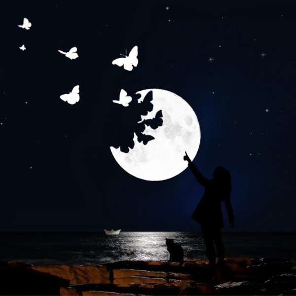 Бабочка на фоне Луны
