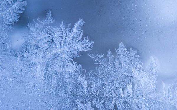 Морозные узоры на стекле