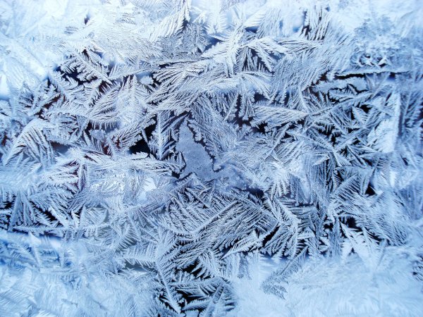 Морозный иней