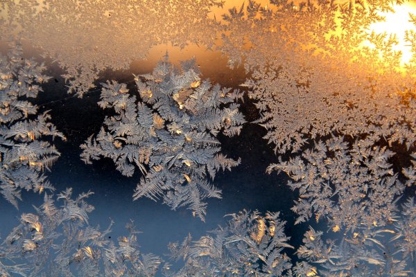 Мороз на стекле