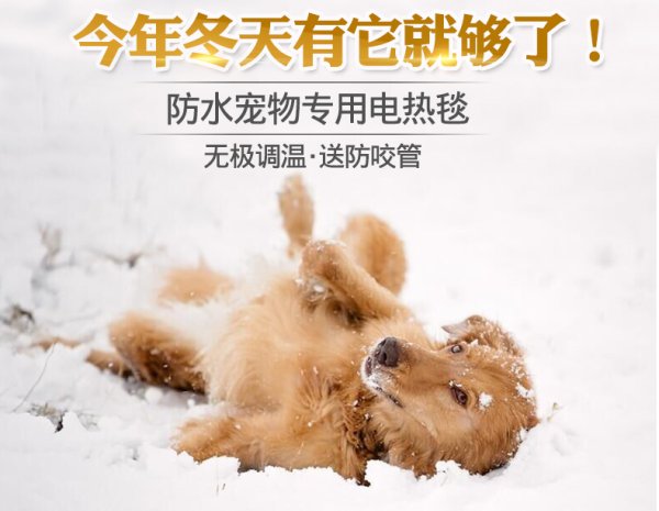 Валяться в снегу