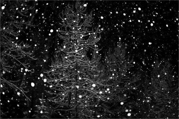 Падающий снег на темном фоне