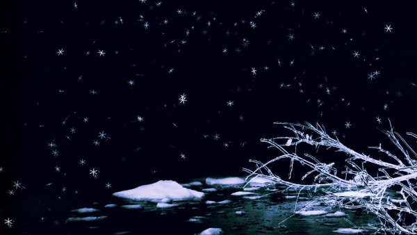 Снег на темном фоне