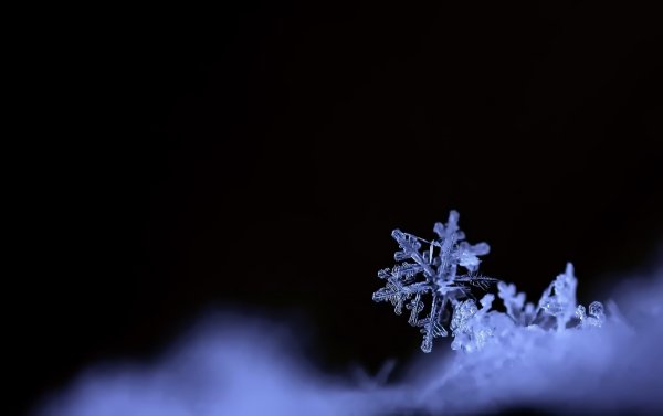 Снег снежинки