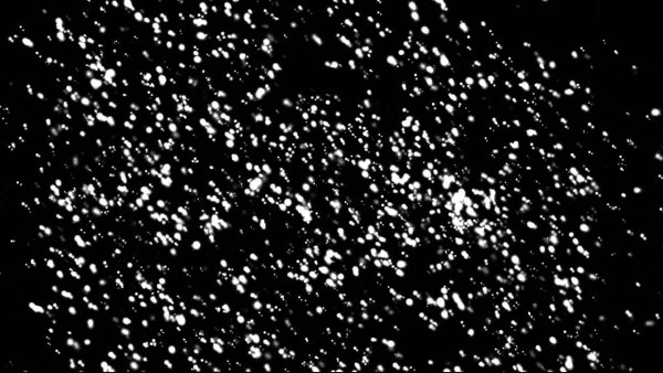 Снег на черном фоне для фотошопа