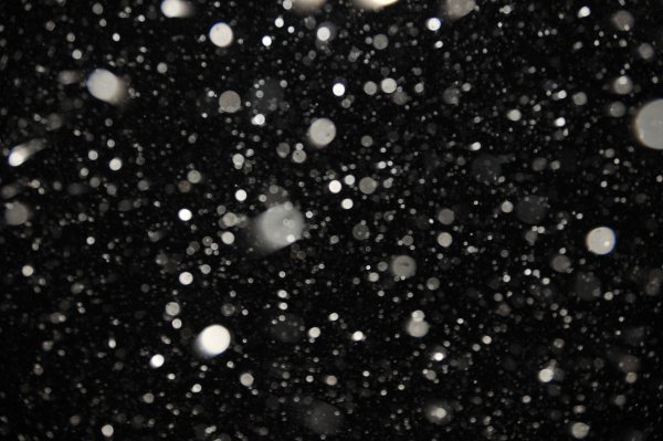 Хлопья снега на черном фоне