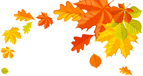 Осенние листья на прозрачном фоне