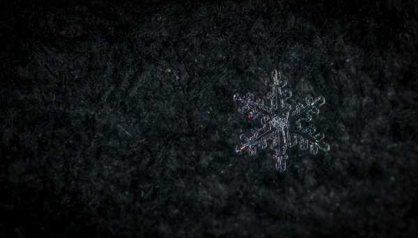 Снежинки на черном фоне