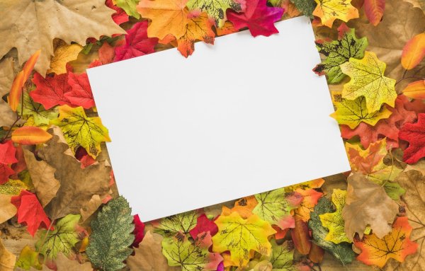 Осенний фон