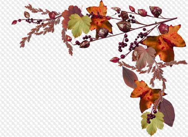 Осенние листья уголок на прозрачном фоне