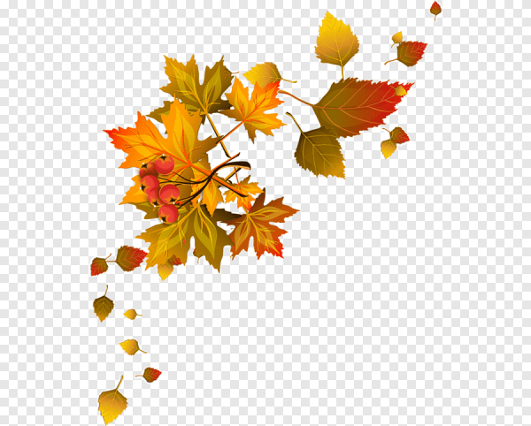 Вихрь осенних листьев на прозрачном фоне