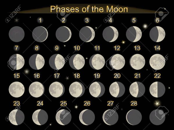 Фазы Луны по номерам