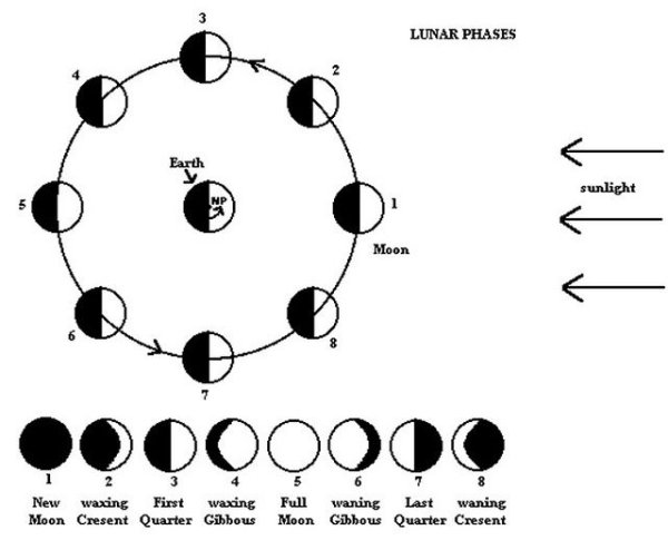 Фазы Луны схема фаз