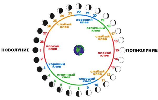 Зависимость клева от фазы Луны