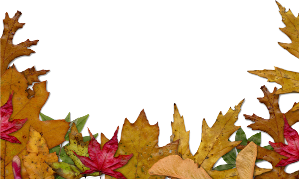 Осенние листья рамка