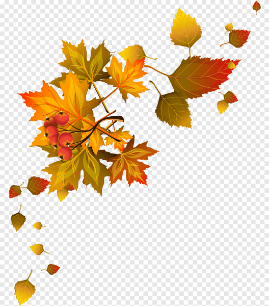 Осенний уголок