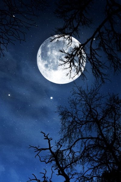 Август Луна звезды