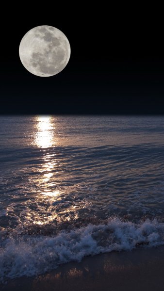 Океан ночью