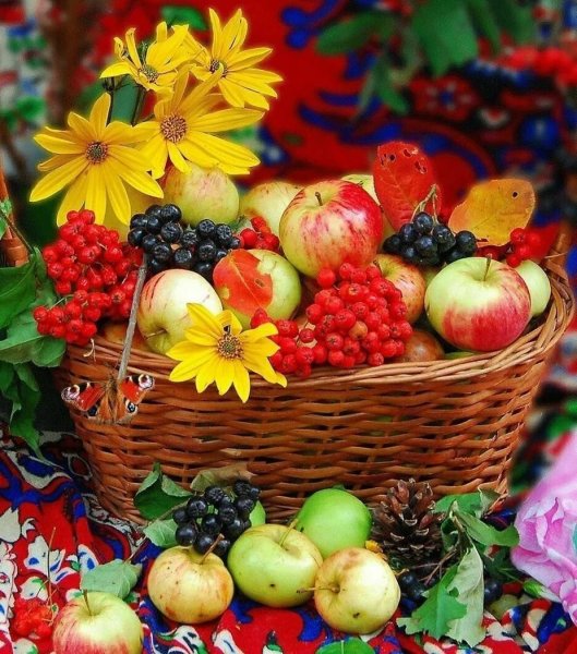 Осень фрукты