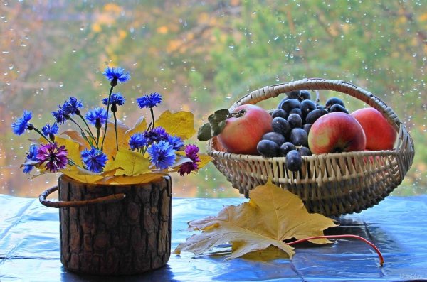 Радостный осенний натюрморт