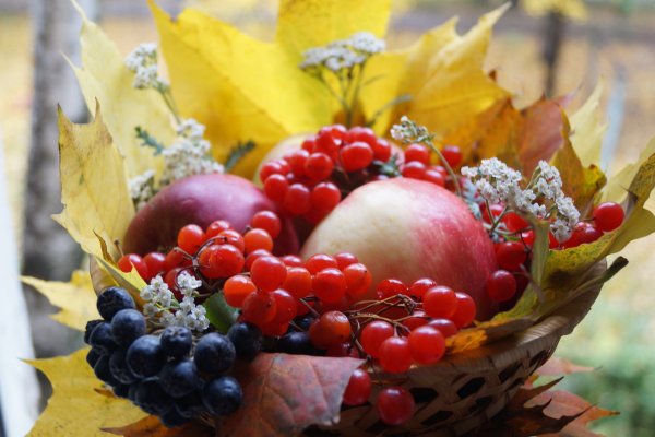Дары осени