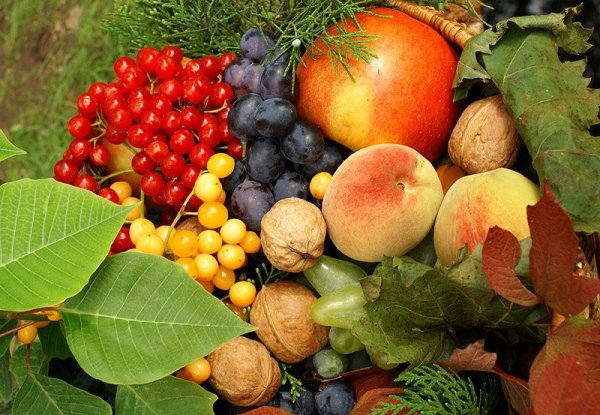 Осенние фрукты с пожеланиями