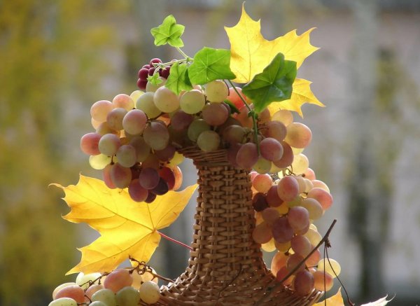 Открытки осеннего настроения