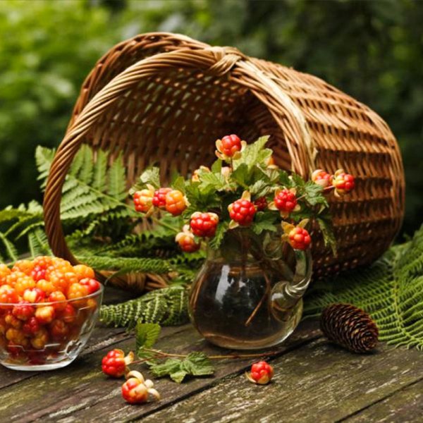 Лукошко с ягодами и цветами