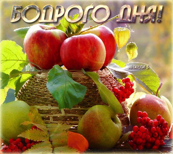 Добрый день картинки