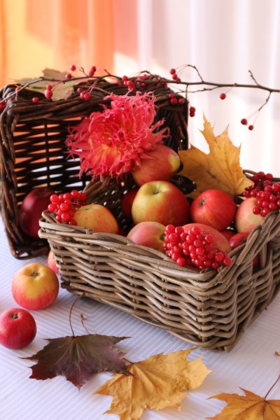 Осенние фрукты