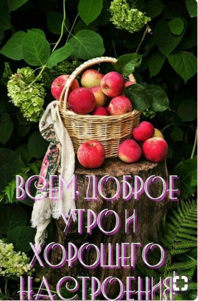 Доброе августовское утро