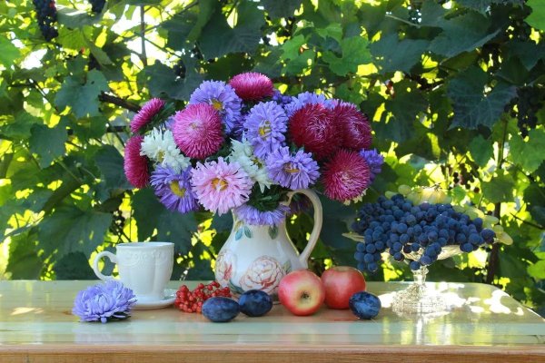 Август — астры, август — звезды, август — грозди