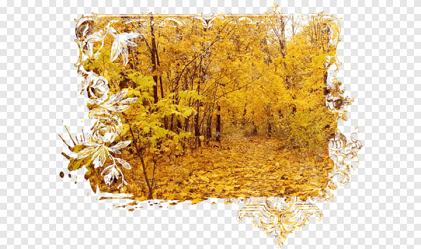 Осенний лес на прозрачном фоне