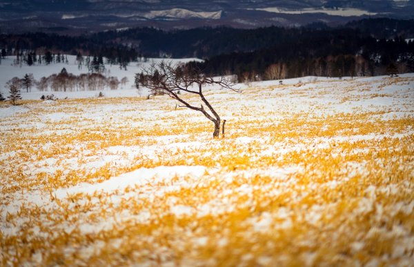 Ноябрь поле