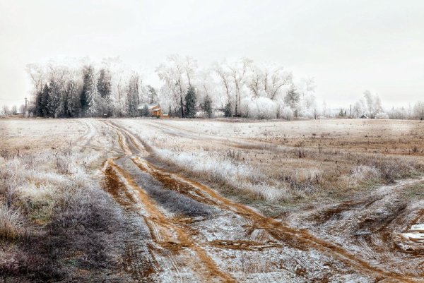 Заснеженная Проселочная дорога