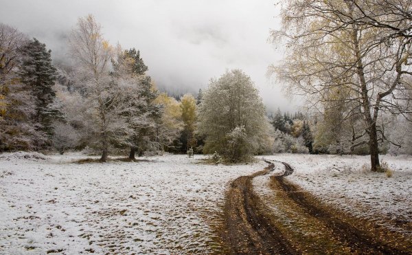 Поздняя осень снег
