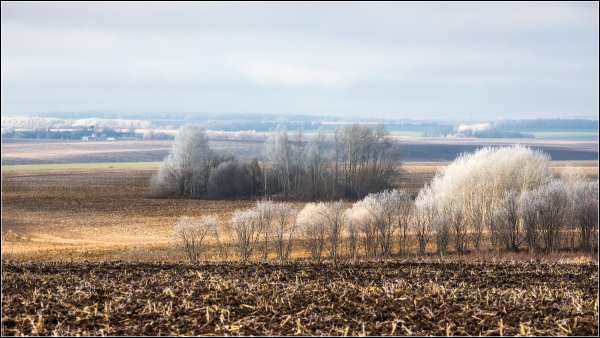 Суздальское Ополье пейзажи