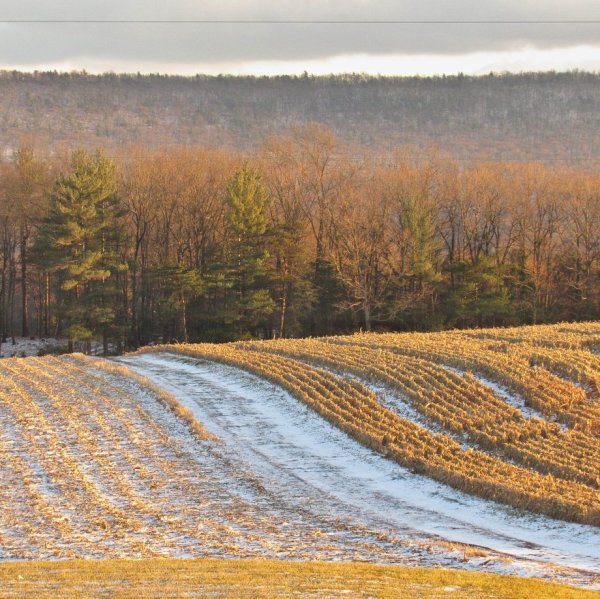 Пашня осенью
