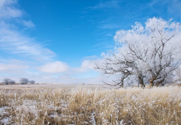 Степь зимой