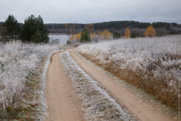 Первые заморозки в природе