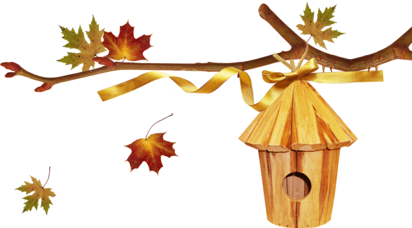 Осенний клипарт на прозрачном фоне