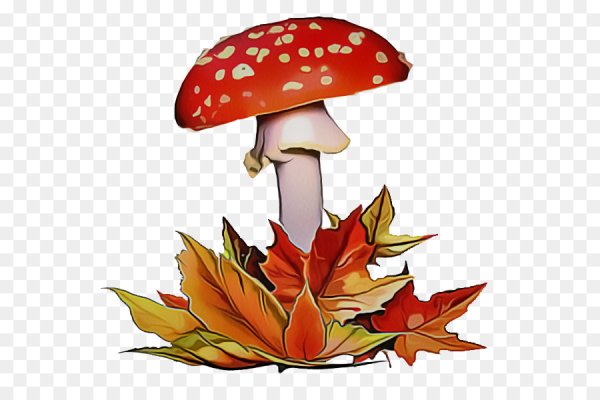 Осенние грибочки для детей