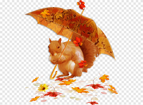 Осенний клипарт на прозрачном фоне