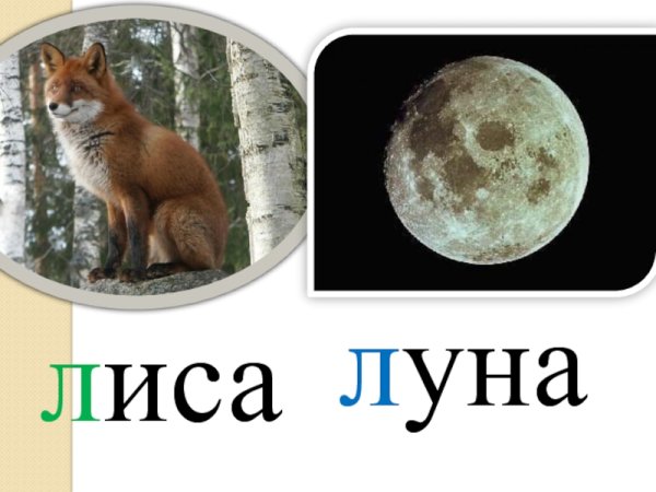 Лиса Луна