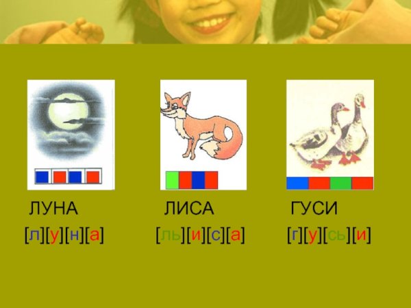 Звуковой анализ слова гуси