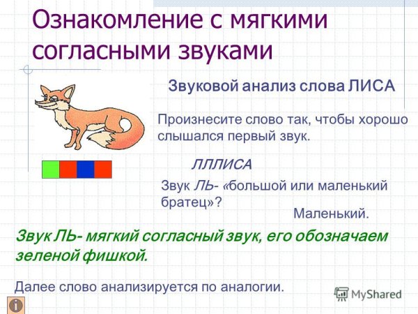 Звуковой анализ слова лиса