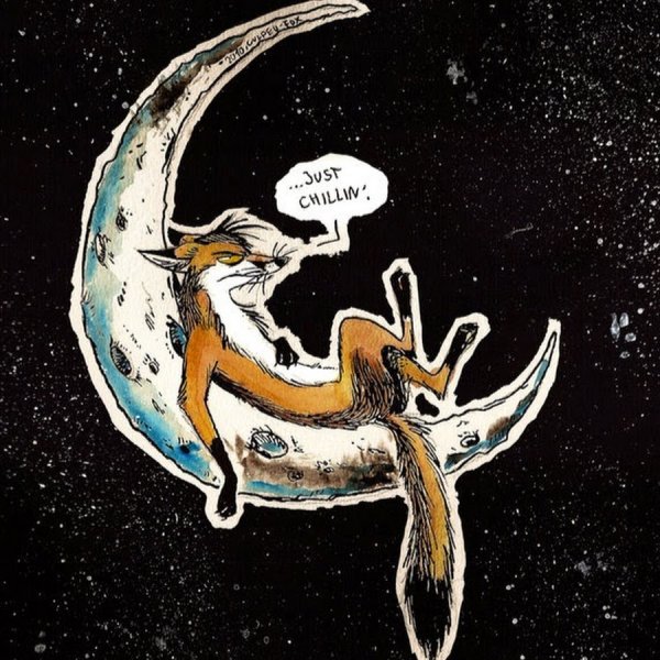 Лиса воет на луну