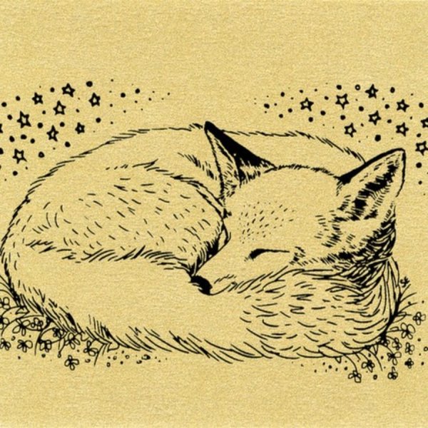 Лисенок спит рисунок