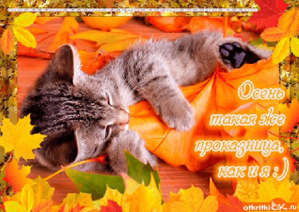 С добрым утром начало осени